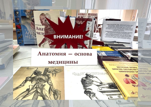 Анатомия – основа медицины. Тебе, первокурсник!