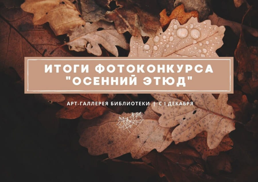 Итоги фотоконкурса «Осенний этюд»