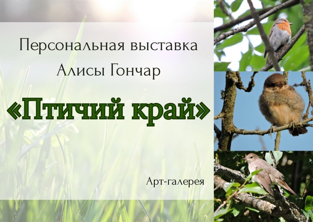 Торжественное открытие персональной выставки Алисы Гончар «Птичий край»