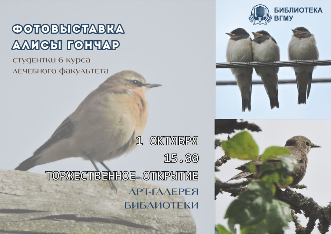 Фотовыставка Алисы Гончар «Птичий край» в Арт-галерее библиотеки